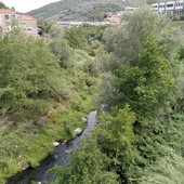 Arbusti e piante creano ostacoli rischiosi per il torrente Impero (Foto)