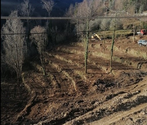 Rezzo, dopo le alluvioni l'area servita per trasferire le macerie è stata trasformata in uno spazio produttivo (Foto)