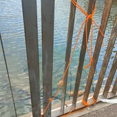 Imperia, pesca con una ‘trappola a ombrello’ fissata al ponte Agnesi: è caccia ai responsabili (foto)