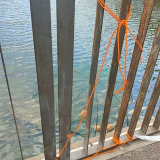 Imperia, pesca con una ‘trappola a ombrello’ fissata al ponte Agnesi: è caccia ai responsabili (foto)