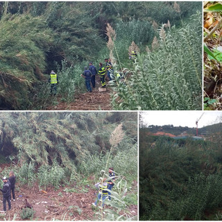 Imperia, ancora infruttuose le ricerche del cane nel torrente Impero (foto e video)