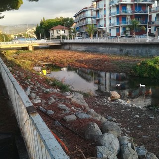 Diano Marina, Egea e Accademia Kronos ripuliscono la foce dell'Evigno: raccolti  12 sacchi di rifiuti da 110 litri (foto)