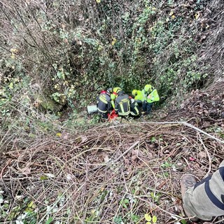 Rezzo, vola per 10 metri e finisce nel fiume: 85enne  al Santa Corona in codice rosso (foto e video)