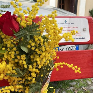 Diano Marina celebra l’8 marzo: mimosa sulla panchina rossa e palazzo comunale illuminato di rosa