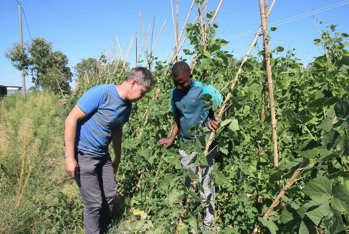 Decreto Legge Agricoltura, Coldiretti: “Serve moratoria per una azienda agricola su tre”