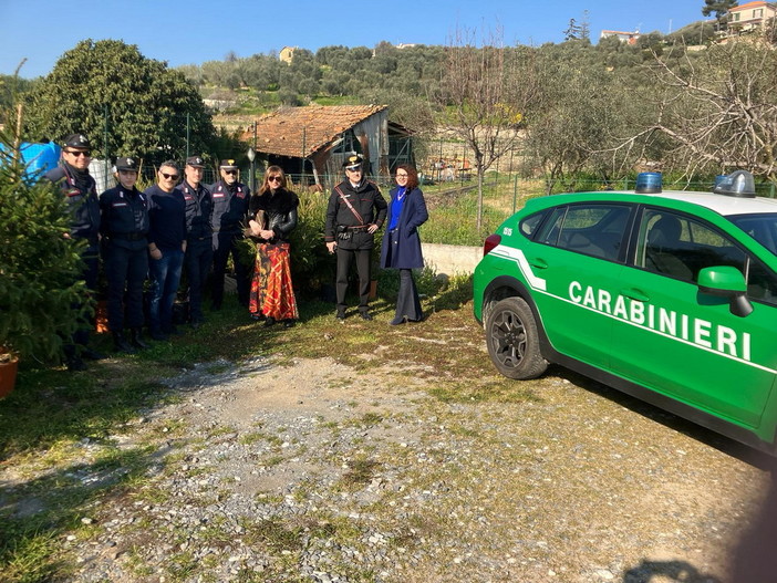 Gli alberi di Natale dei commercianti del Golfo Dianese nell’entroterra con la collaborazione dei Carabinieri Forestali (Foto)