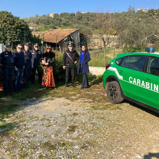 Gli alberi di Natale dei commercianti del Golfo Dianese nell’entroterra con la collaborazione dei Carabinieri Forestali (Foto)