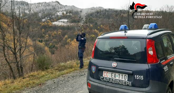 Bilancio 2022 per i Carabinieri Forestali: nella nostra provincia arresti e denunce per bracconaggio