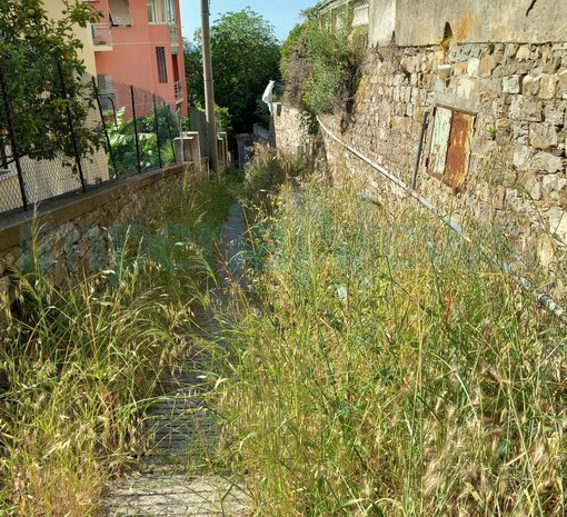 Imperia: degrado, rovi e buche in via delle Valli, una pensionata &quot;Non so più a chi rivolgermi, chiedo a voi&quot; (Foto)