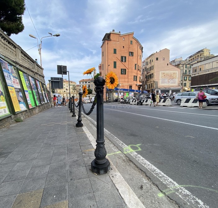 I girasoli lasciati sul paletto di via Martiri della Libertà