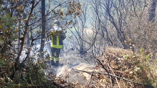 Vasto incendio boschivo tra Cipressa e Lingueglietta: fiamme vicino alle case e al cimitero di Costarainera