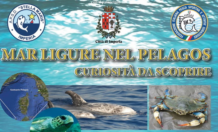 Imperia: sabato prossimo al Museo del Mare un incontro sul mare e sul Santuario dei Cetacei