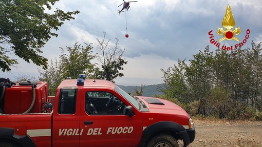 Spento incendio boschivo a Pietrabruna, 5 ore di lavoro dei vigili del fuoco