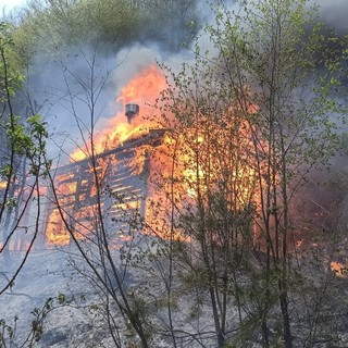 Borghetto D'Arroscia: incendio boschivo in zona Colle Domenica, Vigili del Fuoco e volontari in azione (Foto)