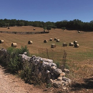 Il Cammino Materano, intervista a Giorgio: a spasso tra Puglia e Basilicata