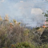 Diano Marina: incendio di un canneto sull'argine del torrente, intervento dei Vigili del Fuoco