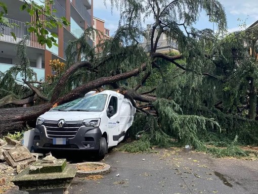 Maltempo in Lombardia, Toti: &quot;Nostra Protezione civile a disposizione in caso di necessità&quot;