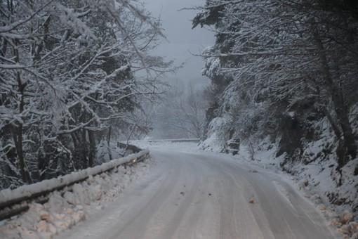 La nevicata del 4 gennaio scorso a monte Bignone