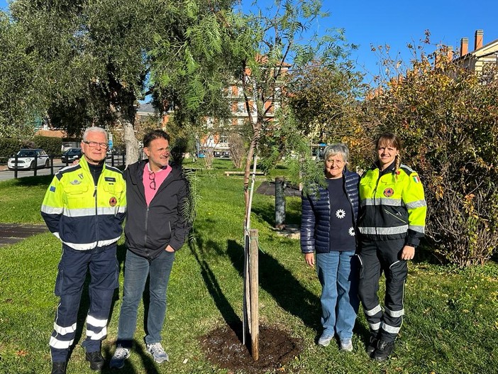 San Bartolomeo al Mare: un nuovo 'schinus molle' (falso pepe) nell’area giochi di via Manzoni