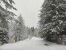 Maltempo: 20 cm di neve a Monesi e 40 nel basso Piemonte, in arrivo vento e calo delle temperature