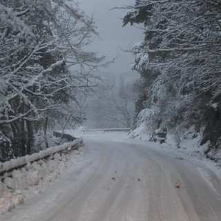 La nevicata del 4 gennaio scorso a monte Bignone