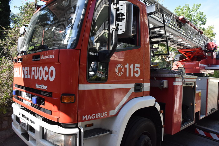 Un albero sradicato dal vento a Diano Marina, sotto controllo la situazione in città