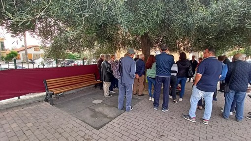 Vallecrosia: rimozione degli alberi in via Don Bosco, lettera aperta dei residenti &quot;Sospendete i lavori!&quot;