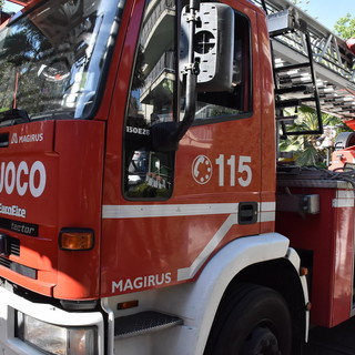 Un albero sradicato dal vento a Diano Marina, sotto controllo la situazione in città