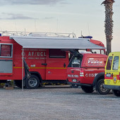 Anche l'unità cinofila dei Vigili del Fuoco di Imperia nelle ricerche di un uomo scomparso a Savona (Foto)