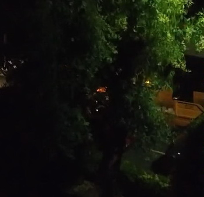 Imperia senza padroni: lamentele dei cittadini sulla rumorosità della raccolta del vetro in orario notturno (Video)