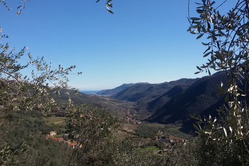 Ranzo, addio a Franco Pelazza: col fratello Renzo per anni avevano vissuto da eremiti nei boschi