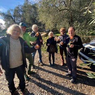 Lucinasco: le guide ambientali ed escursionistiche della Liguria alla scoperta dell’Oliveto della Riviera Ligure (Foto)