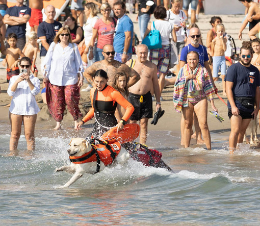 Dopo l'addio a Diano Marina il WindFestival si sposta di poco ed approda nella vicina Andora