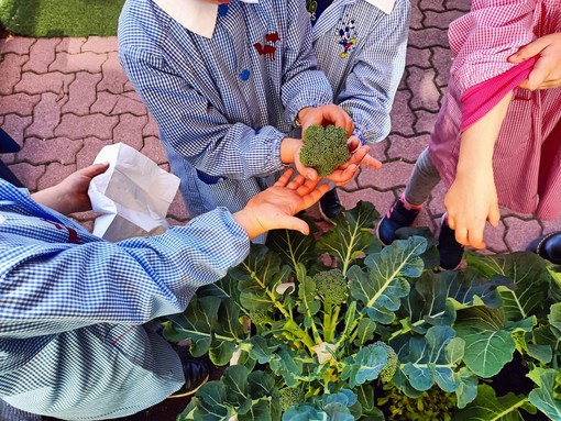 Gli alunni delle scuole di Pontedassio coltivatori a Km 0 (foto)