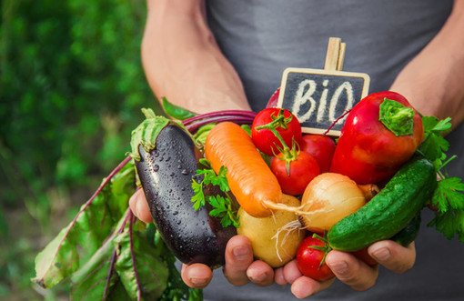 Regione Liguria: 1,5 milioni per la conversione all'agricoltura biologica