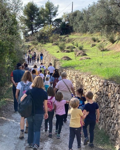 A Diano Arentino la Camminata tra gli olivi