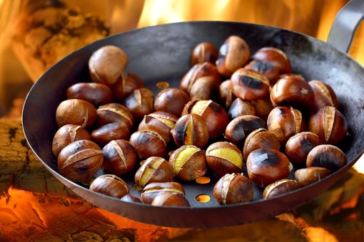 Castagnate a San Bartolomeo al Mare, Molini di Prelà, Badalucco e Bajardo