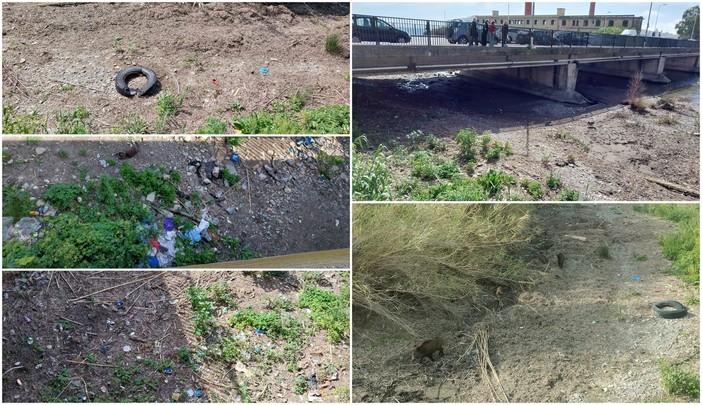 Imperia, discarica a cielo aperto alla foce del torrente Impero (foto)