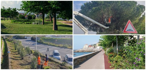 Imperia, più cura del verde urbano. approvata la variante del piano di manutenzione