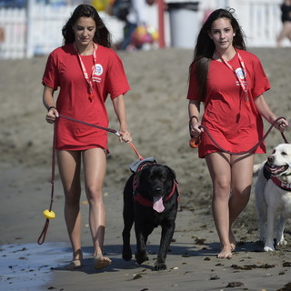 Al via corsi per la formazione di Assistente Bagnanti per piscina, acque Interne e mare