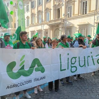 Crisi del comparto agricolo, Roggerone scrive ai parlamentari liguri