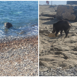 Foto di Giancarlo da San Lorenzo al Mare - Il Gruppo