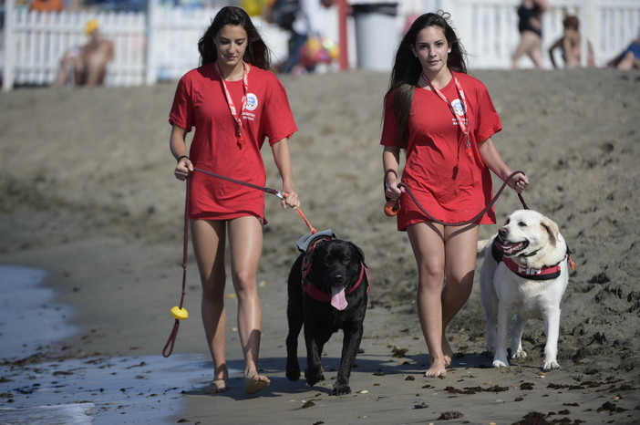 Al via corsi per la formazione di Assistente Bagnanti per piscina, acque Interne e mare