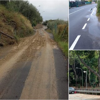 Imperia, gli effetti del maltempo in città: verrà rimosso dai vigili del fuoco un albero nel parcheggio dell'ospedale