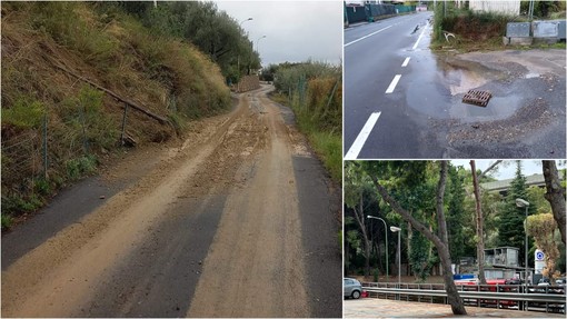 Imperia, gli effetti del maltempo in città: verrà rimosso dai vigili del fuoco un albero nel parcheggio dell'ospedale