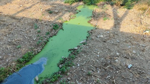 Il torrente Impero si colora di verde e sui social scattano le segnalazioni