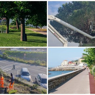 Imperia, più cura del verde urbano. approvata la variante del piano di manutenzione