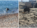 Foto di Giancarlo da San Lorenzo al Mare - Il Gruppo