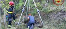 Cipressa,  cane da caccia cade in un pozzo: salvato da vigili del fuoco con il supporto del Saf (foto e video)