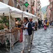 Pieve di Teco, conto alla rovescia per la decima edizione dell’Expo Valle Arroscia